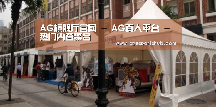 案例标题九