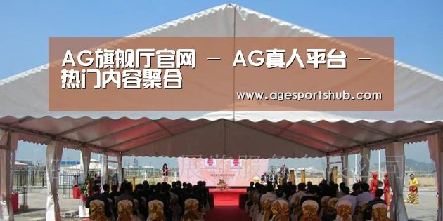 案例标题三