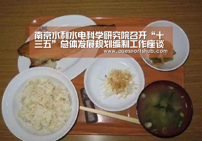南京水利水电科学研究院召开“十三五”总体发展规划编制工作座谈会‘AG旗舰厅’(图1) AG官网