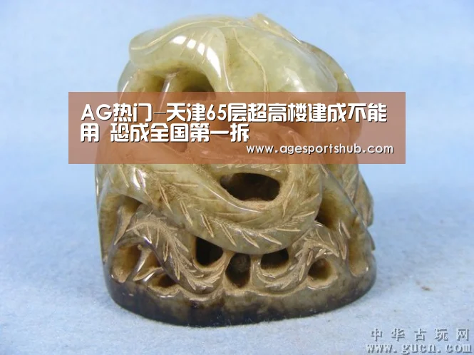 AG热门-天津65层超高楼建成不能用 恐成全国第一拆(图2) AG热门