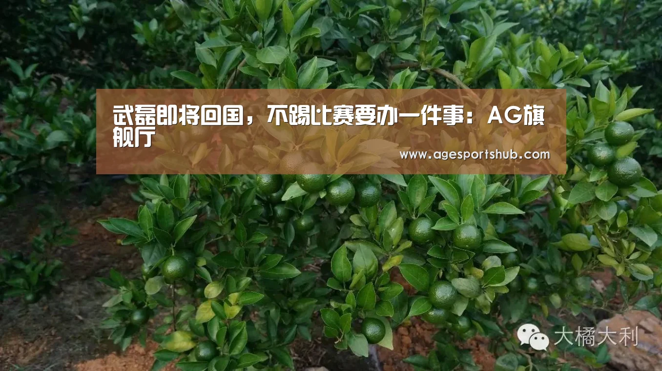 武磊即将回国,不踢比赛要办一件事:AG旗舰厅(图4) AG热门