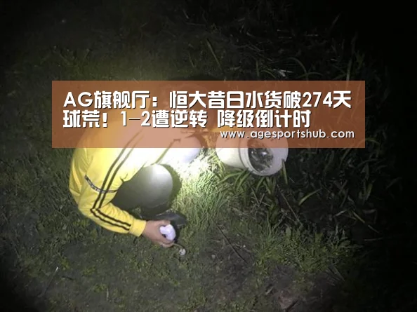 AG官网