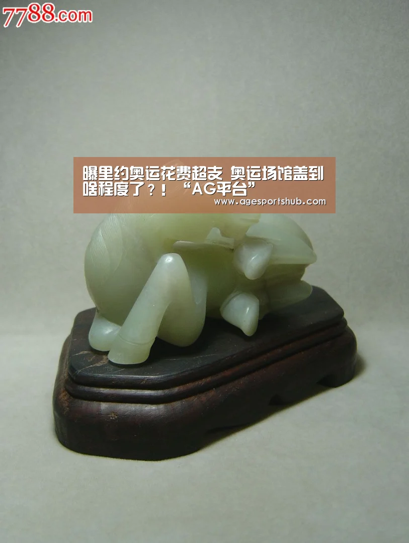 曝里约奥运花费超支 奥运场馆盖到啥程度了?!“AG平台”(图2) AG热门