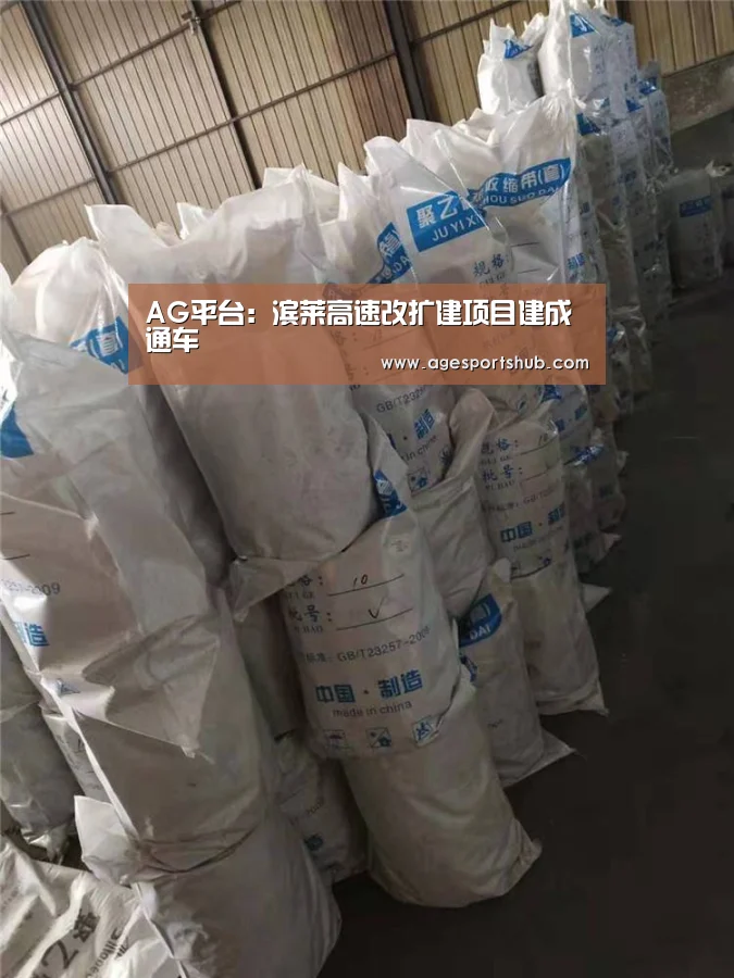 AG平台:滨莱高速改扩建项目建成通车(图3) AG官网