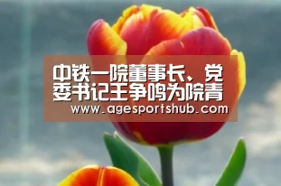 中铁一院董事长、党委书记王争鸣为院青年突击队授旗_AG平台(图4) AG平台