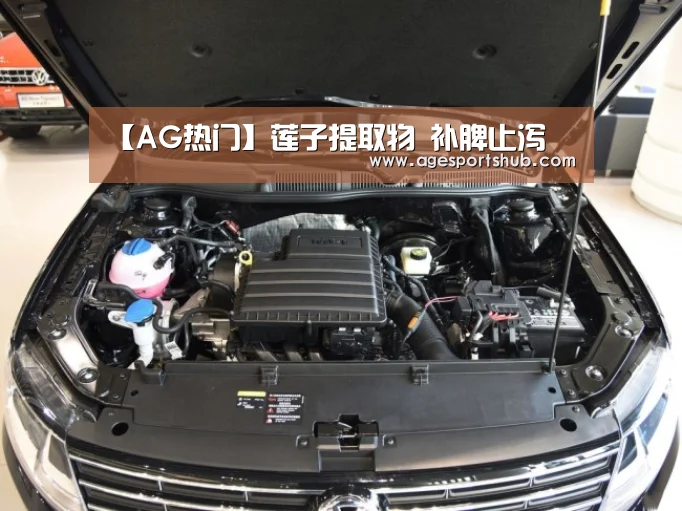 【AG热门】莲子提取物 补脾止泻(图2) AG旗舰厅
